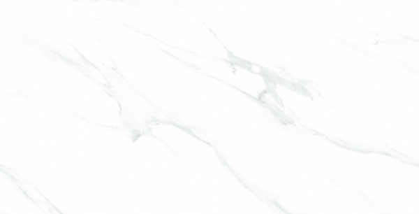 classic cararra 60x120 levigato