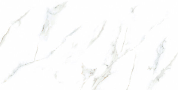 classic calacatta 60x120 levigato