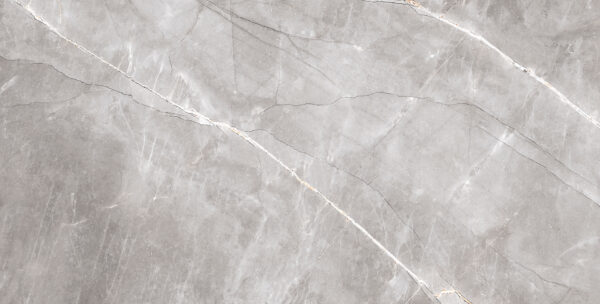 PULPIS GRIGIO 60X120 LEVIGATO - immagine 2