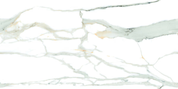 continua calacatta gold 60x120 levigato