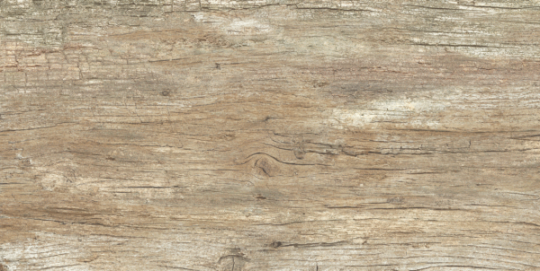 radice beige 31x62 gresporcellanato